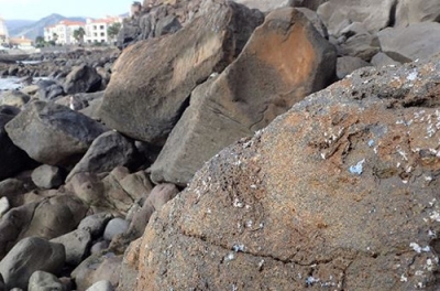 Plasticrosta invade rochas da ilha da Madeira